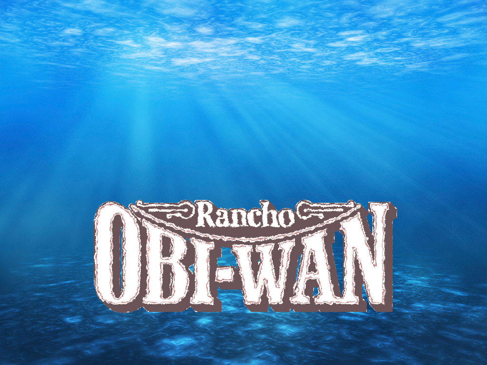 rancho obi wan dee dive tours