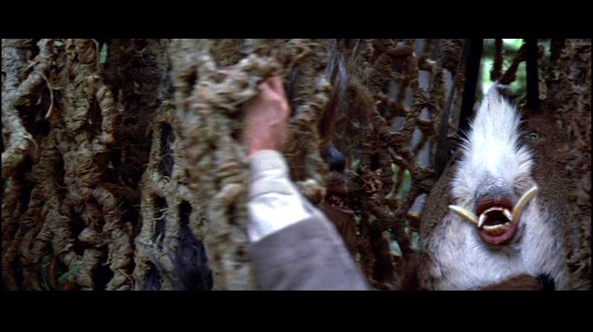 In Star Wars: Return of the Jedi, the animal used as bait to attract  Chubacca into the Ewoks' trap is actually the backside of a white tail deer  with fake teeth inserted