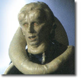 Bib Fortuna