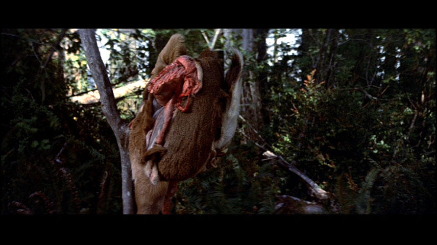 In Star Wars: Return of the Jedi, the animal used as bait to